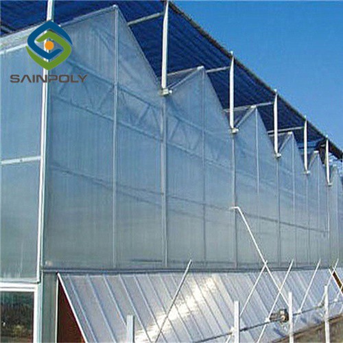 Multi Span Pc Sheet Greenhouse