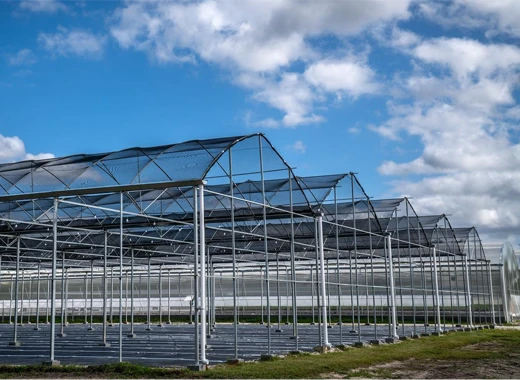 hydroponic greenhouse for plant growing hydroponic greenhouse for plant growing