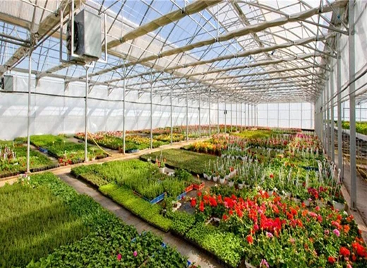 glass tunnel greenhouse glass tunnel greenhouse