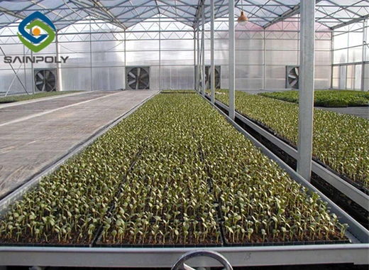 glass tunnel greenhouse glass tunnel greenhouse