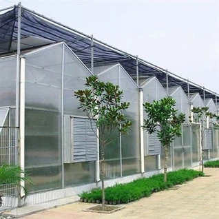 Rumah Hijau Polikarbonat 8mm