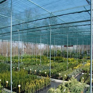 Rumah Hijau Teduh